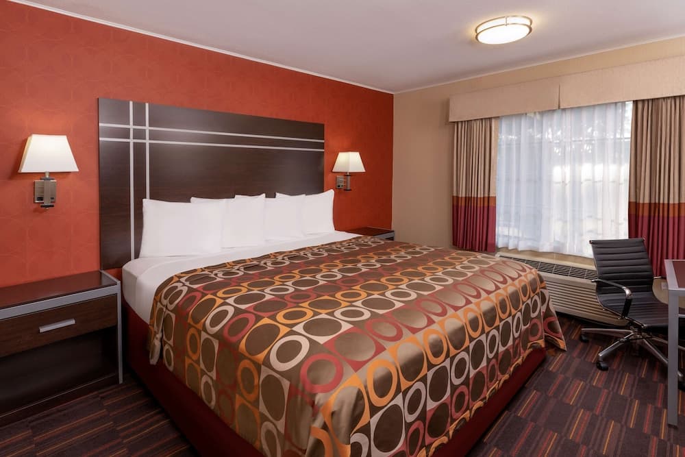Standard Room, Non Smoking,  Refrigerator & Microwave, 1 King Bed, Accessible, Bathtub