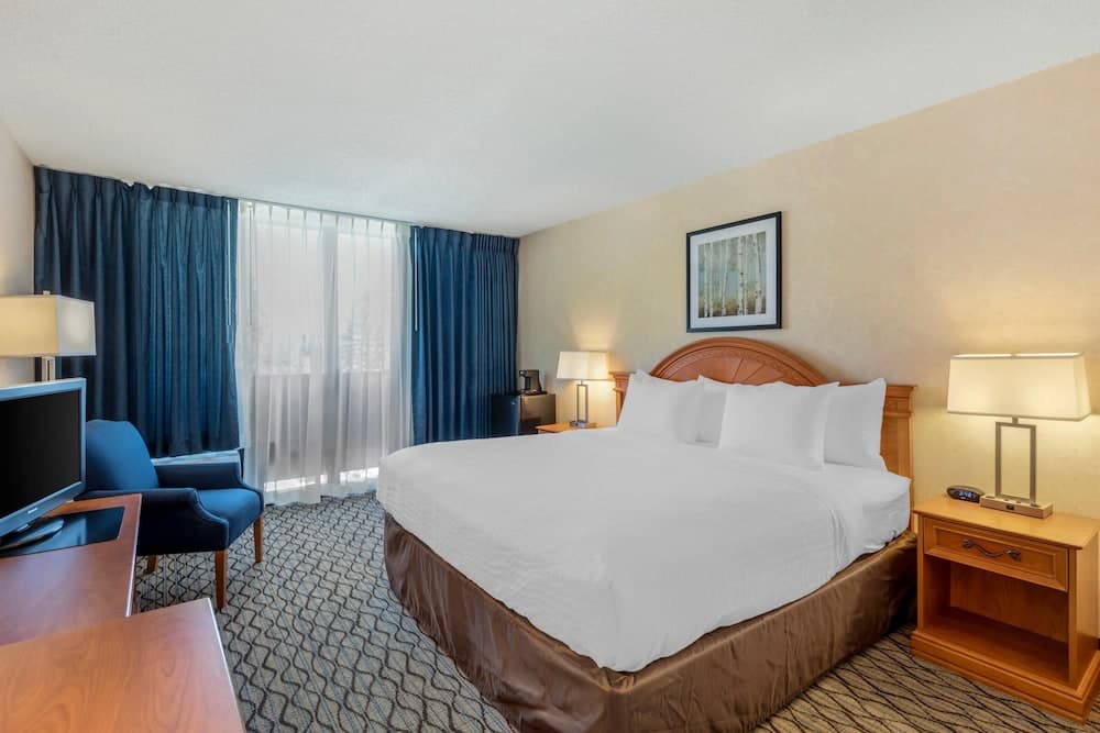 Standard Room, 1King Bed, Non Smoking
