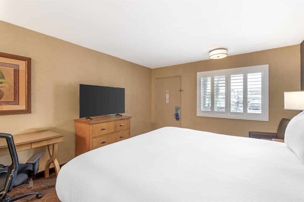 Standard Room, 1 King Bed, Non Smoking (Shower Only)