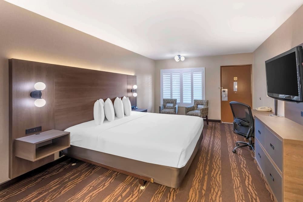 Standard Room, 1 King Bed, Accessible, Bathtub