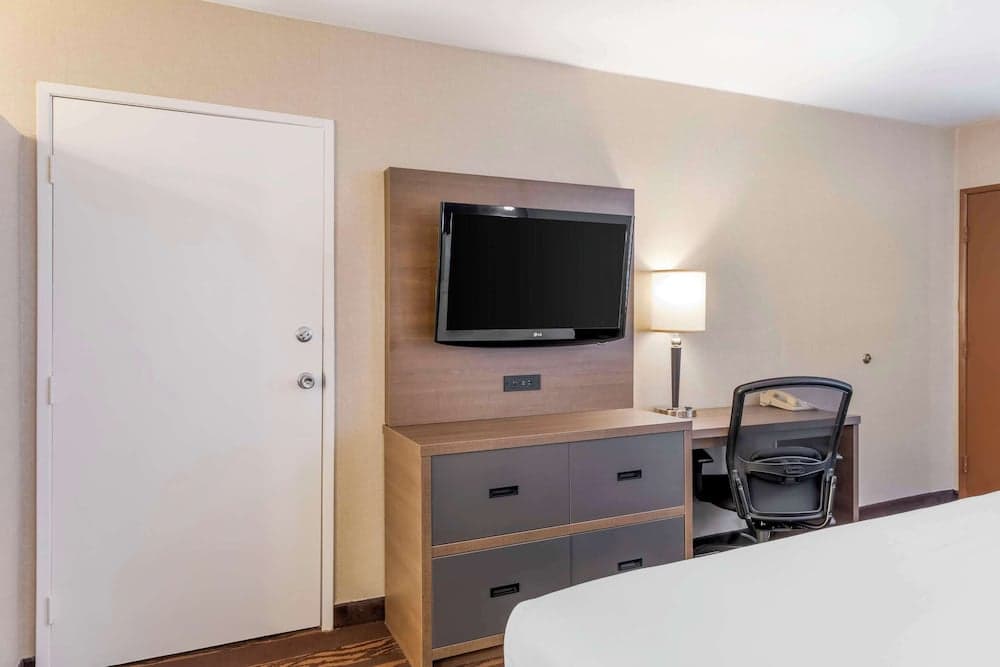 Standard Room, 1 King Bed, Non Smoking, Refrigerator & Microwave