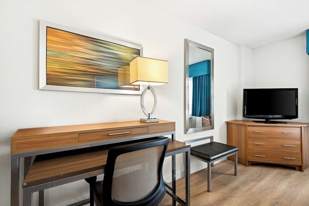 Suite, 1 King Bed with Sofa bed