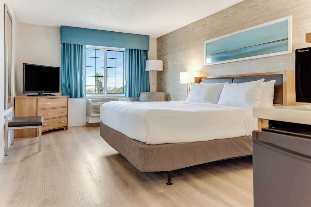 Room, 1 King Bed, Accessible (Mobility Tub)