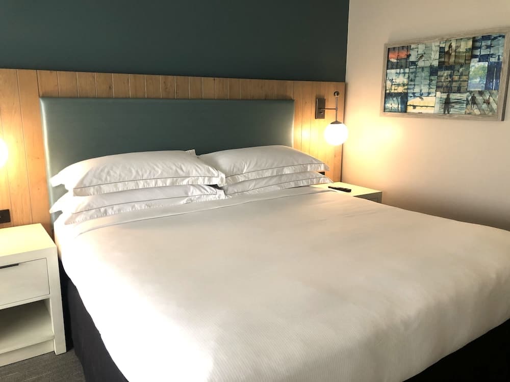 Room, 1 King Bed