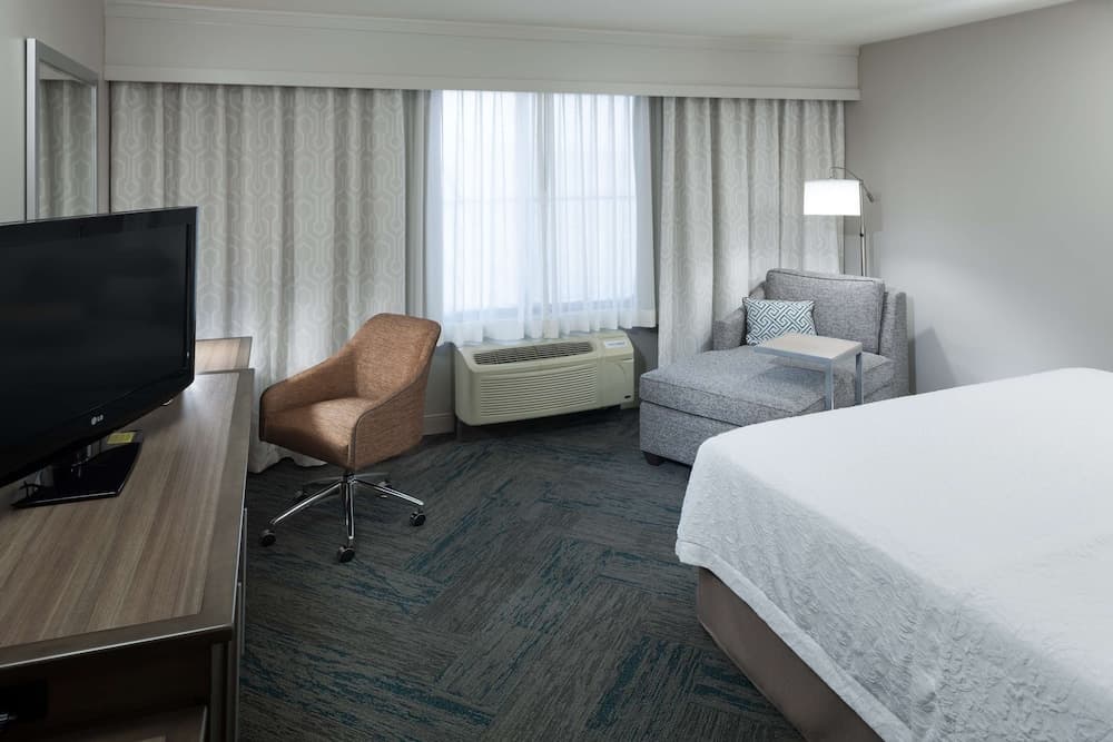 Room, 1 King Bed, Accessible (Mobility & Hearing)