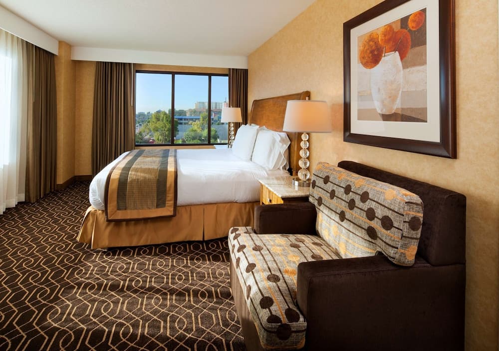 1 Bedroom King Suite