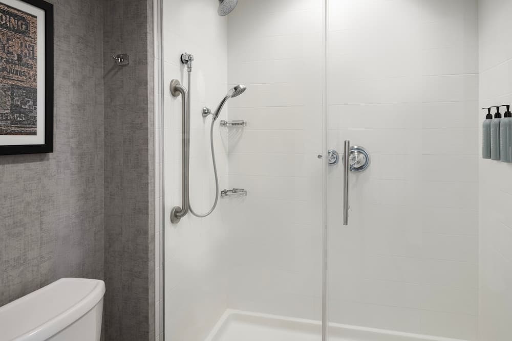 Studio Suite, 1 King Bed with Sofa bed (Hearing Accessible)